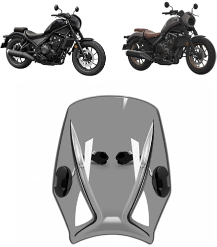 Amazon.co.jp: モリワキ(MORIWAKI) METER VISOR KIT セミスモーク